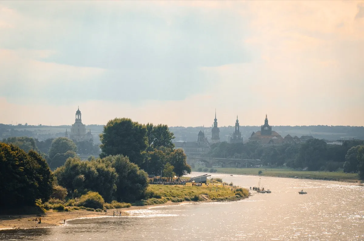 Life on the Dresden Elbe meadows