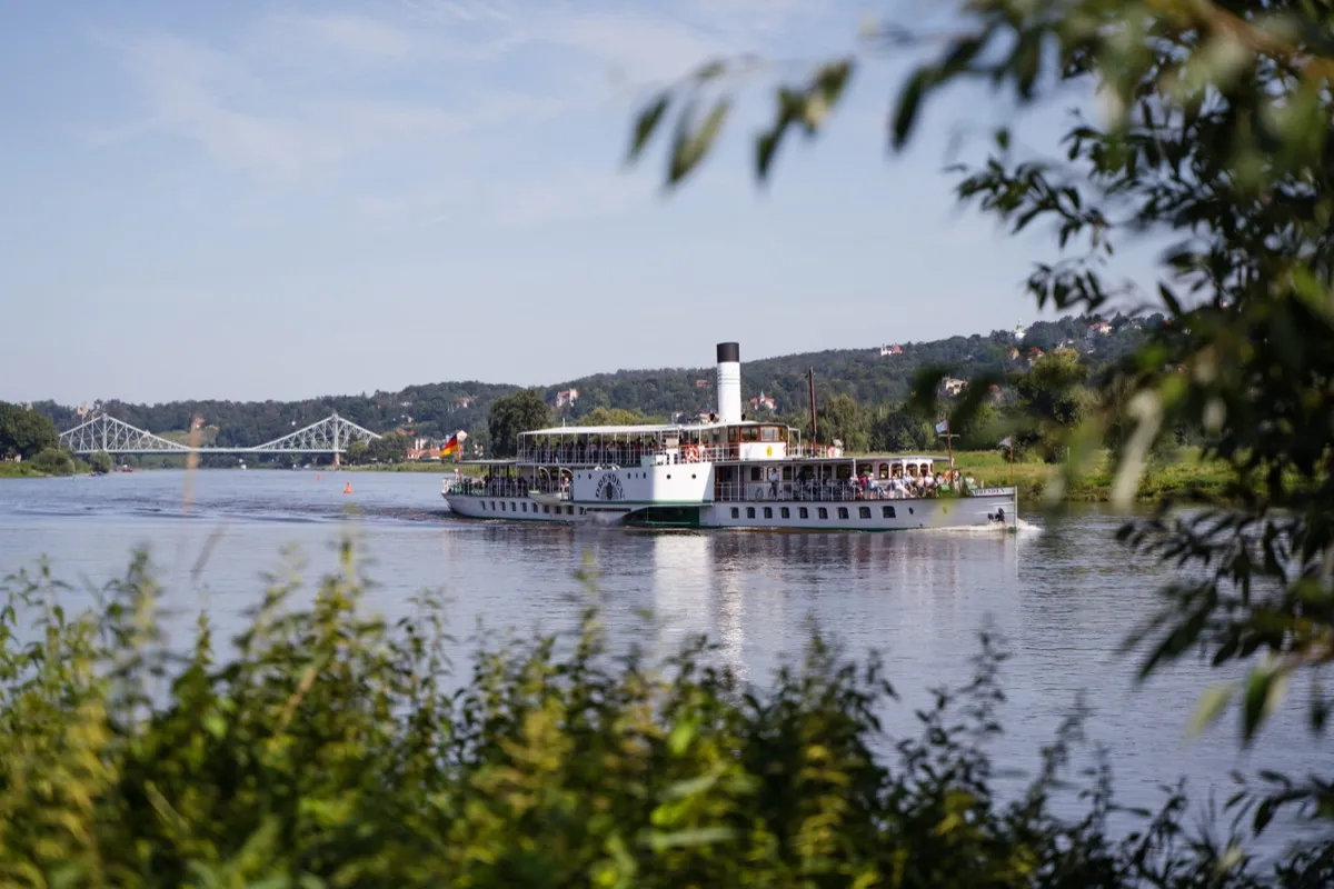 Paddle steamer of the Saxon Steamship Fleet